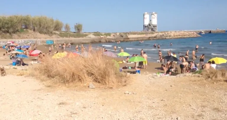 Playa Vallcarca en Sitges perros 768x406