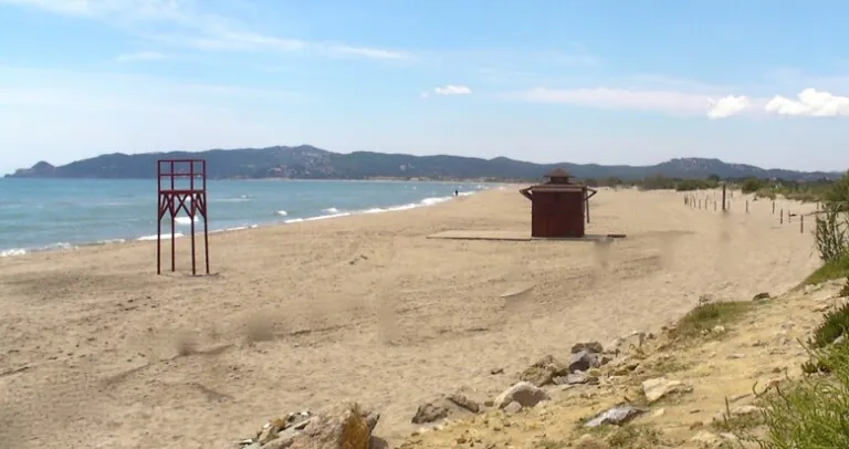 Playa de Els Griells 768x406