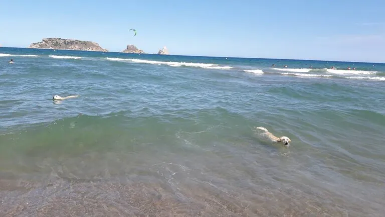 Playa de Els Griells5 768x432
