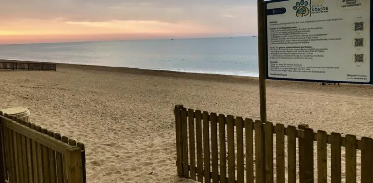 Playa para los perros en Malgrat de Mar 768x377