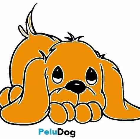 Protectora APA Peludog logo