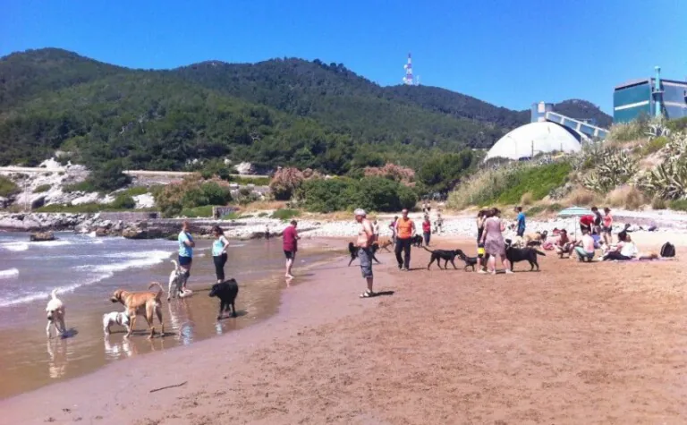 platja de la picòrdia platja canina3 768x475