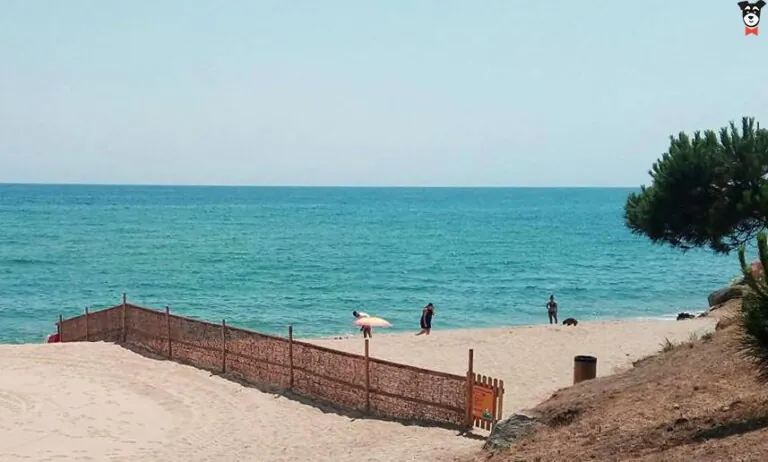 platja de la picòrdia platja canina4 768x462