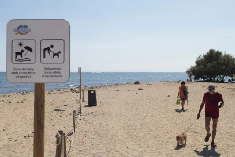 playa para los perros en Cambrils2 768x512