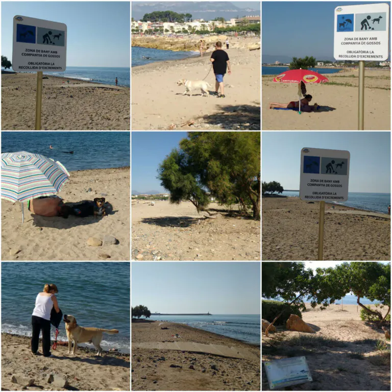 playa para los perros en Cambrils3 768x768
