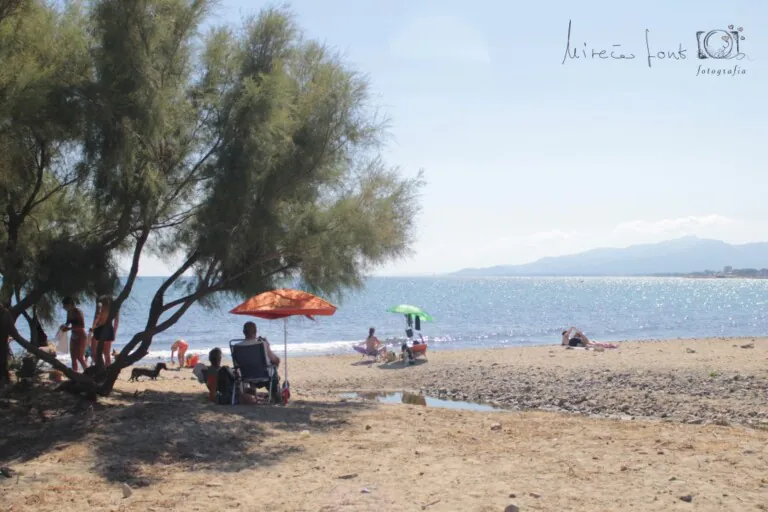 playa para los perros en Cambrils5 768x512