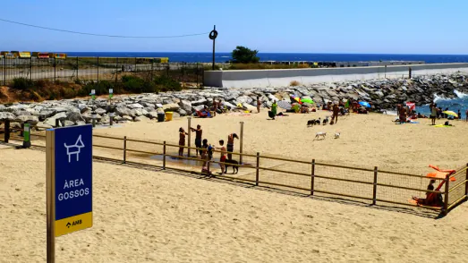 playa para perros en barcelona1