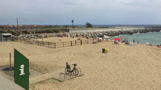 playa para perros en barcelona2