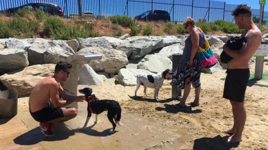 playa para perros en barcelona4