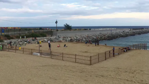 playa para perros en barcelona5