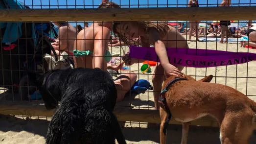playa para perros en barcelona7