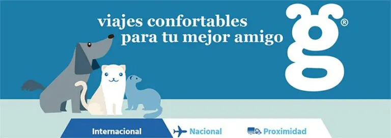 traveldogspain 768x271