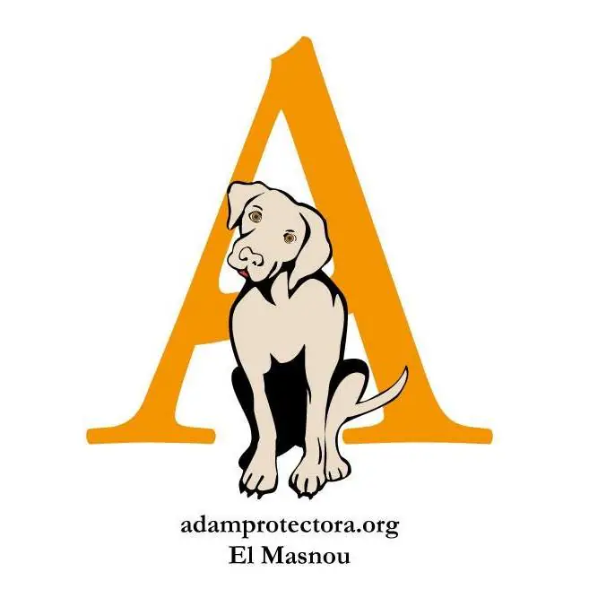Adam Protectora Logo