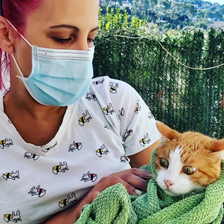 Can Bitxitos 5 768x768