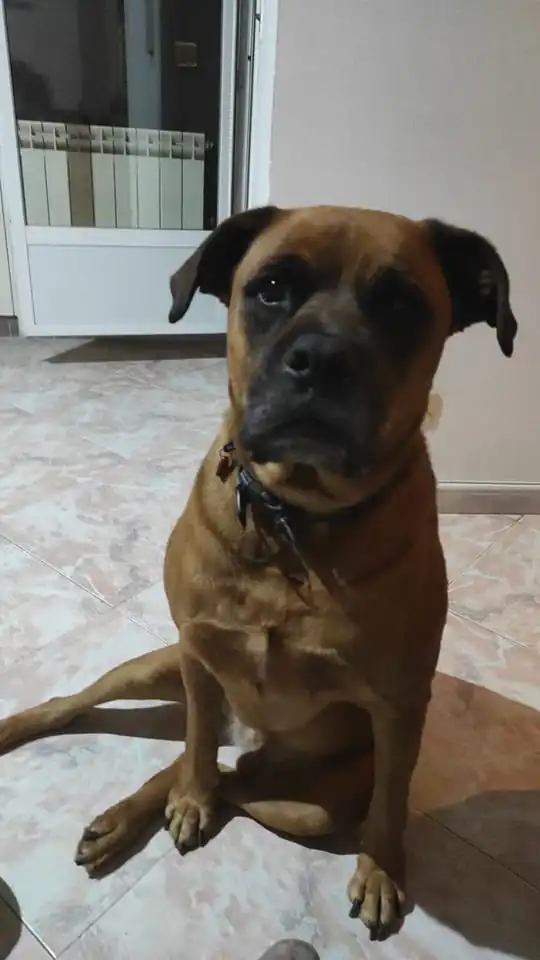 Els Nostres petits 5