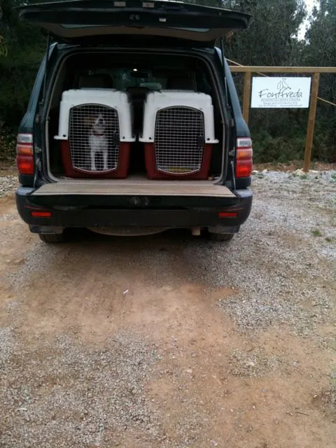 Fontfreda Residencia Canina y Felina