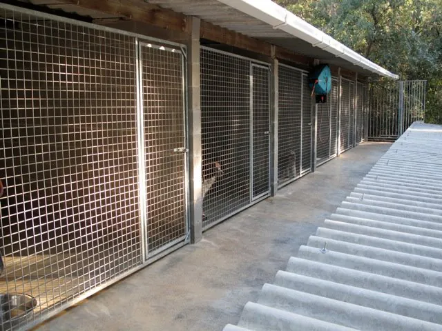 Fontfreda Residencia Canina y Felina5