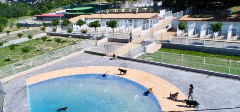 Hotel Caní el Vilà4 768x358