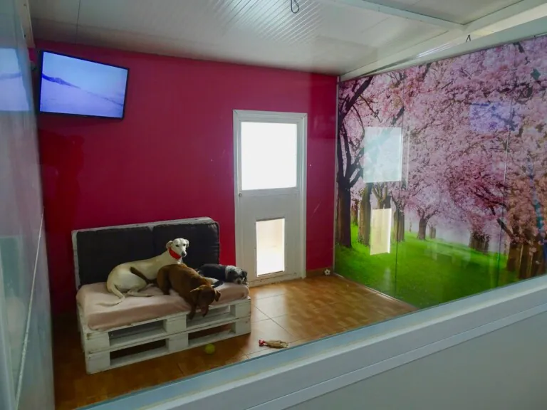 Hotel Caní el Vilà5 768x576