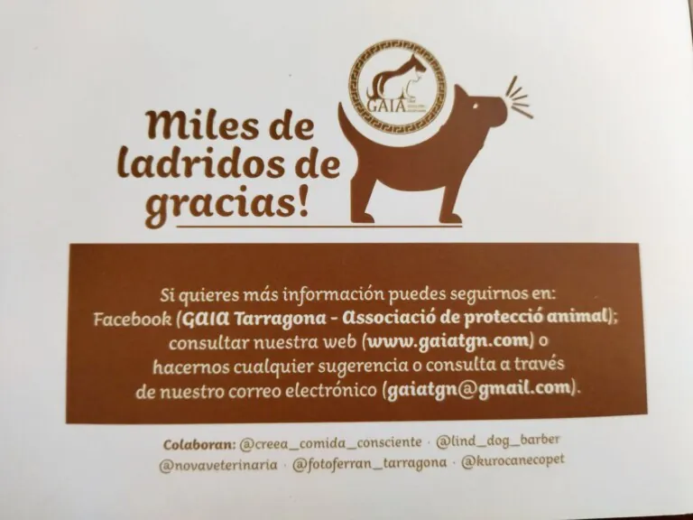 Protectora GAIA Tarragona4 768x576