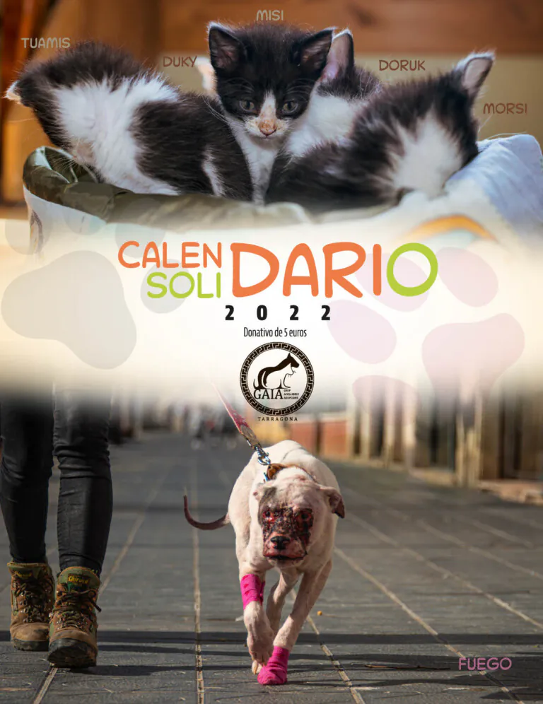 Protectora GAIA Tarragona5 768x996