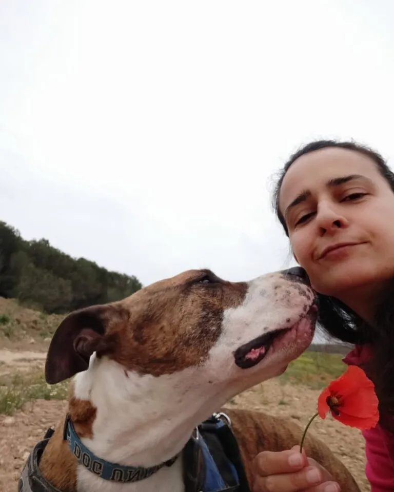 Voluntacaad 4 768x960