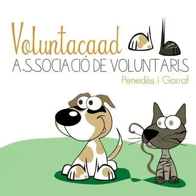 Voluntacaad Logo