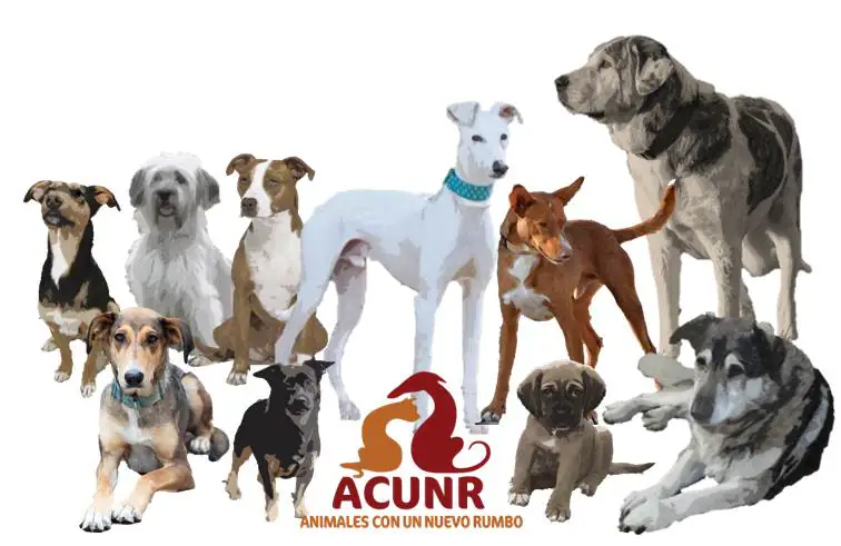 ACUNR5