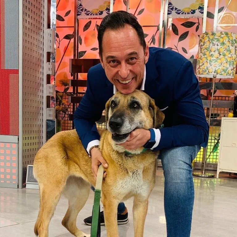 Asociación Abrazo Animal2 768x768