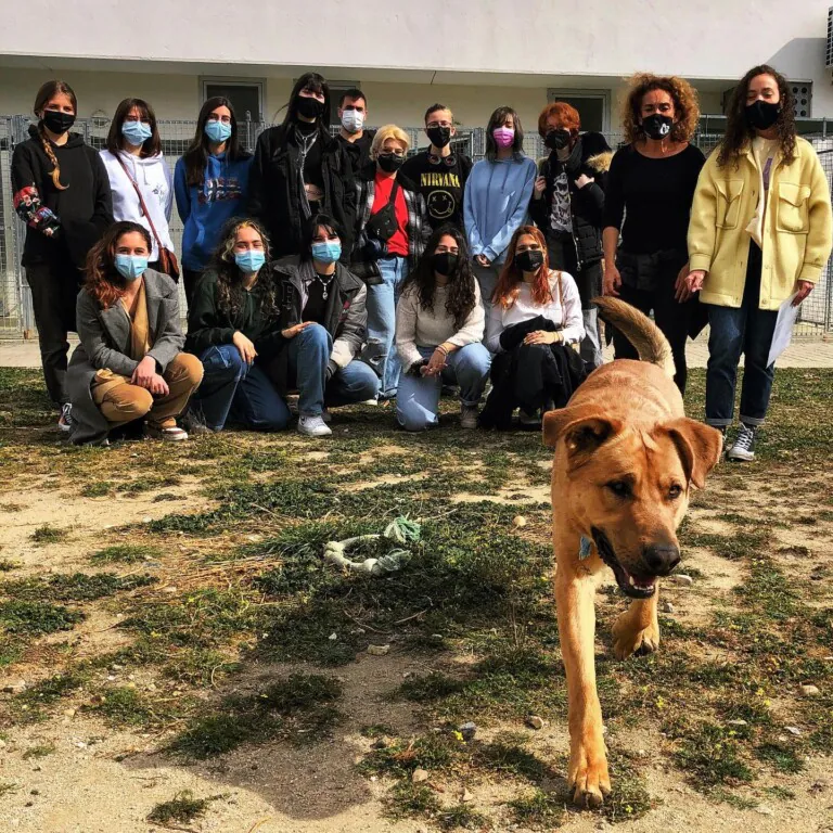 Asociación Abrazo Animal3 768x768