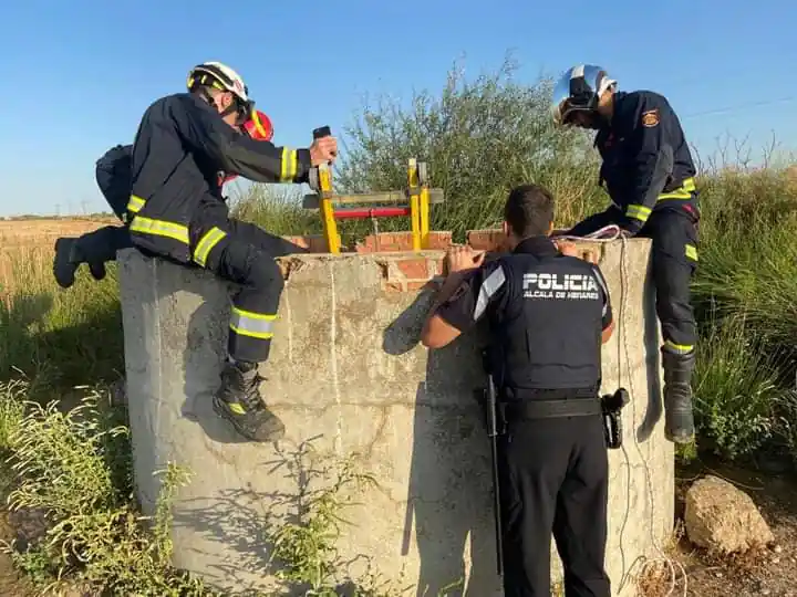 El Campito Salvando Peludos2