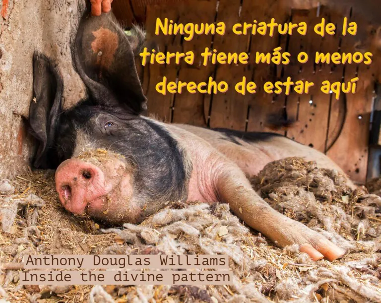 El Valle Encantado 768x611