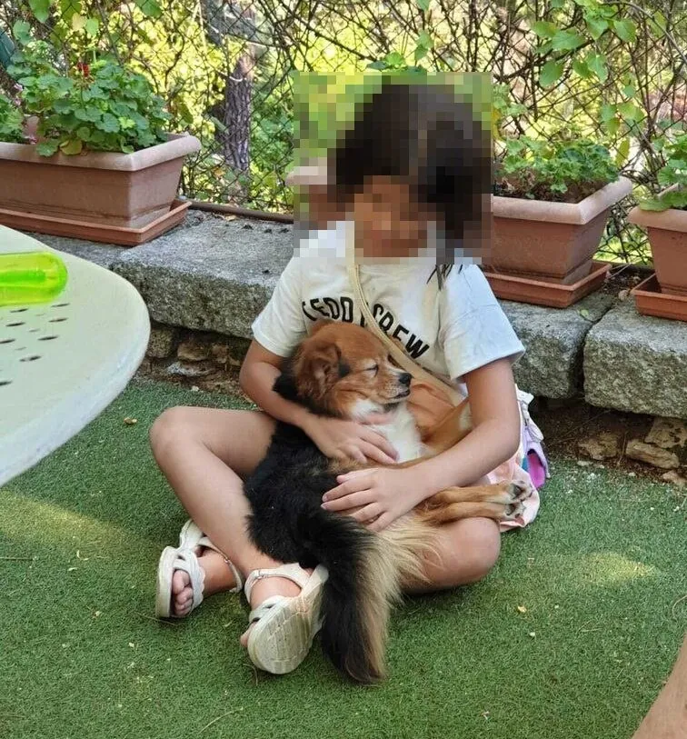 NUEVAVIDA Adopciones Madrid2
