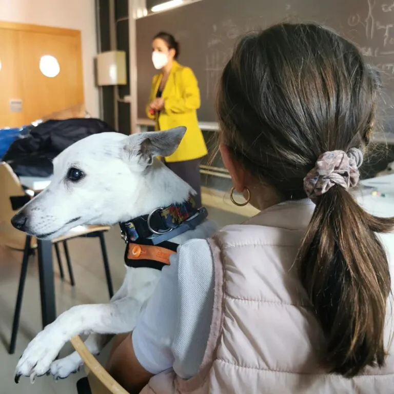 Proyecto Dejando Huella 768x768