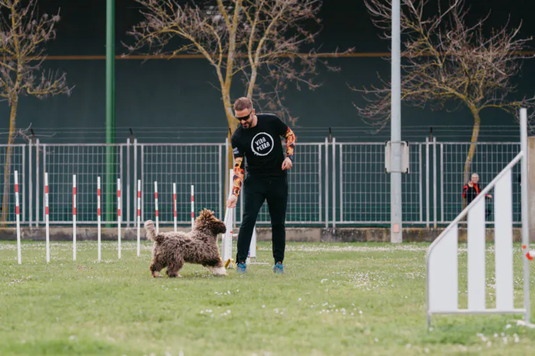 Proyecto Dejando Huella2 768x512