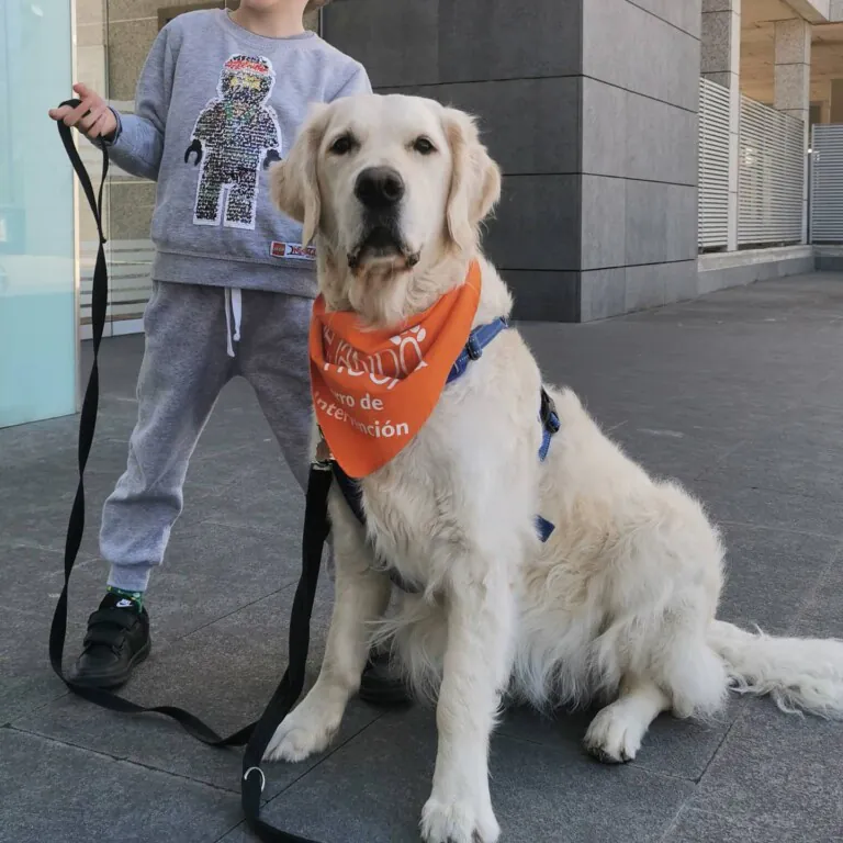 Proyecto Dejando Huella3 768x768