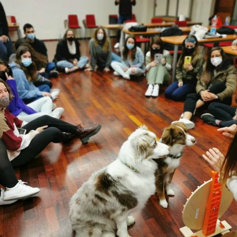 Proyecto Dejando Huella4 768x768