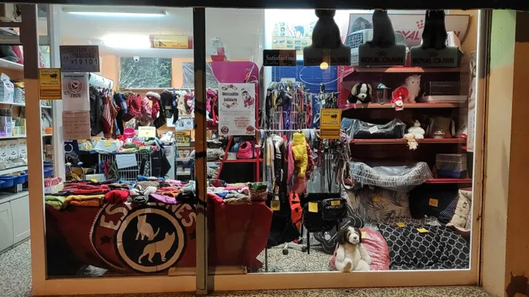 Espolones Zaragoza2 768x432