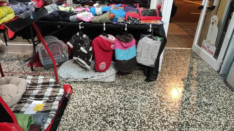 Espolones Zaragoza3 768x432