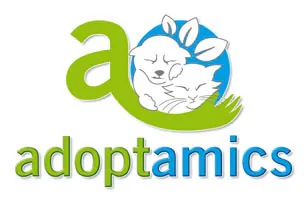 Adoptamics logo