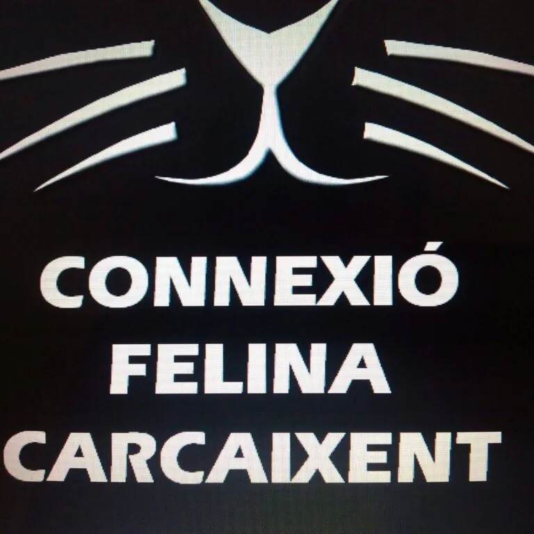 Connexio Felina Carcaixent Valencia logo 768x768
