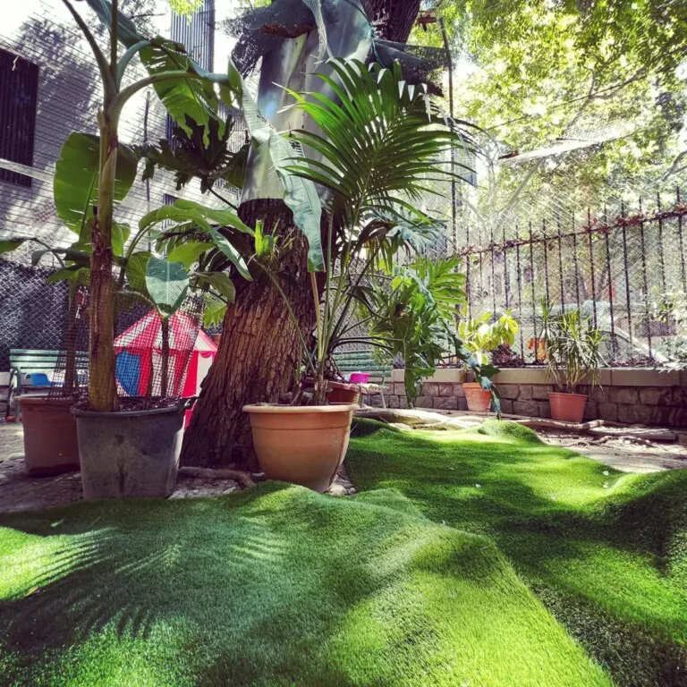 El Jardinet Dels Gats4 768x768