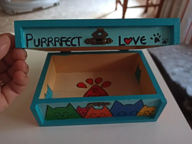 Gats de Carcaixent 5 768x577