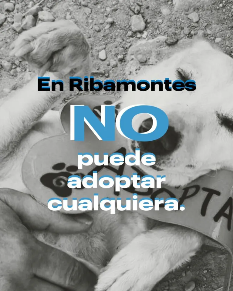 Ribamontes3 768x960