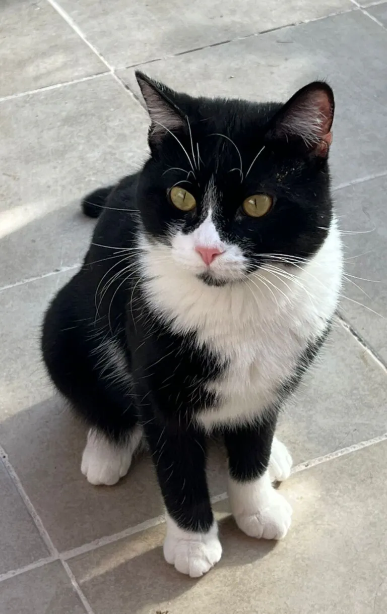 Aprosenveu5 768x1218