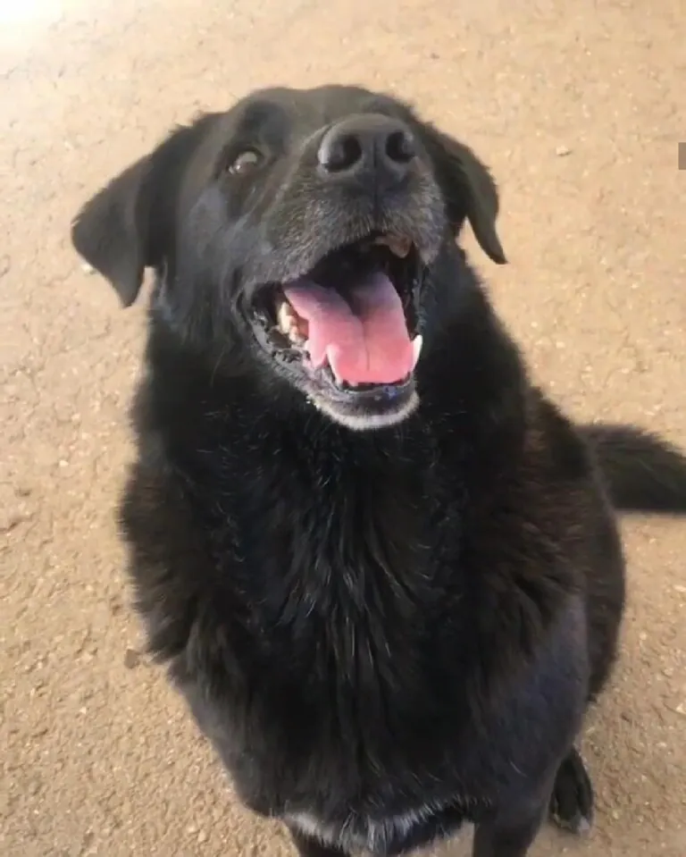 Asociacion Axudanos3 768x959