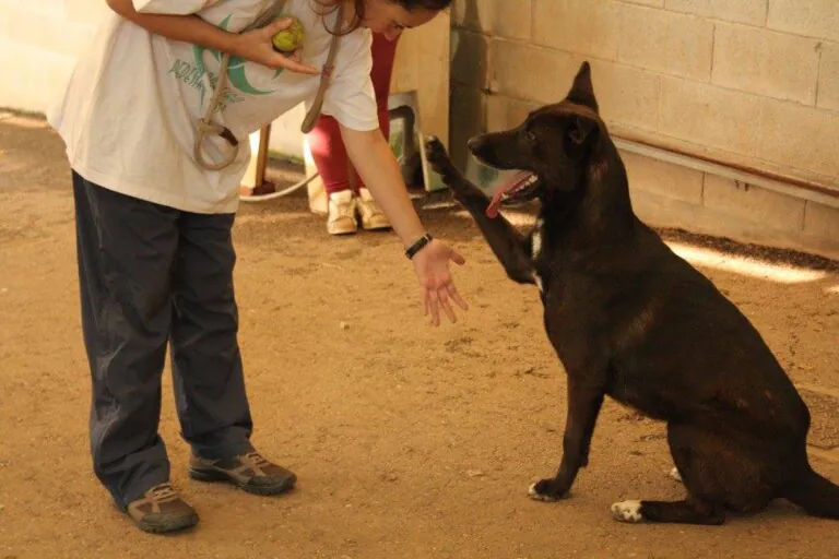 Asociacion Axudanos5 768x512