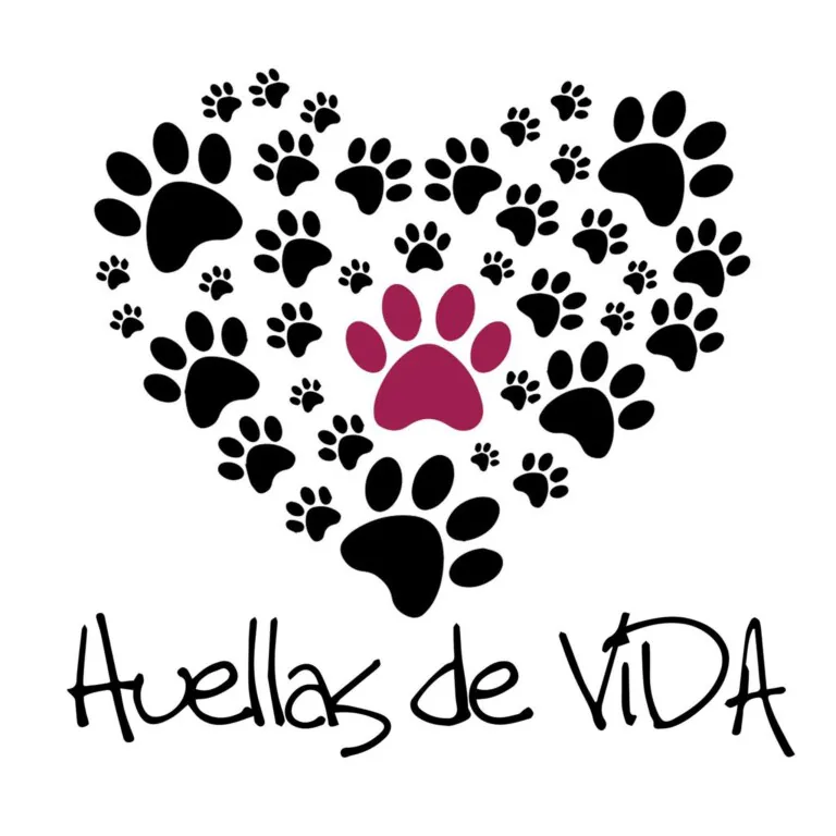 Huellas de vida logo 768x768