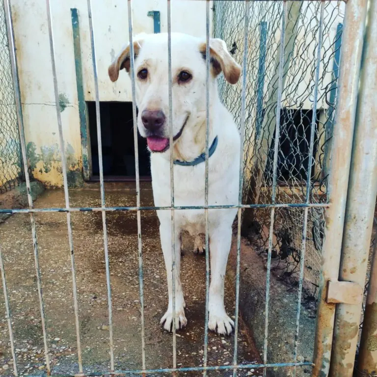 Huellas de vida2 768x768