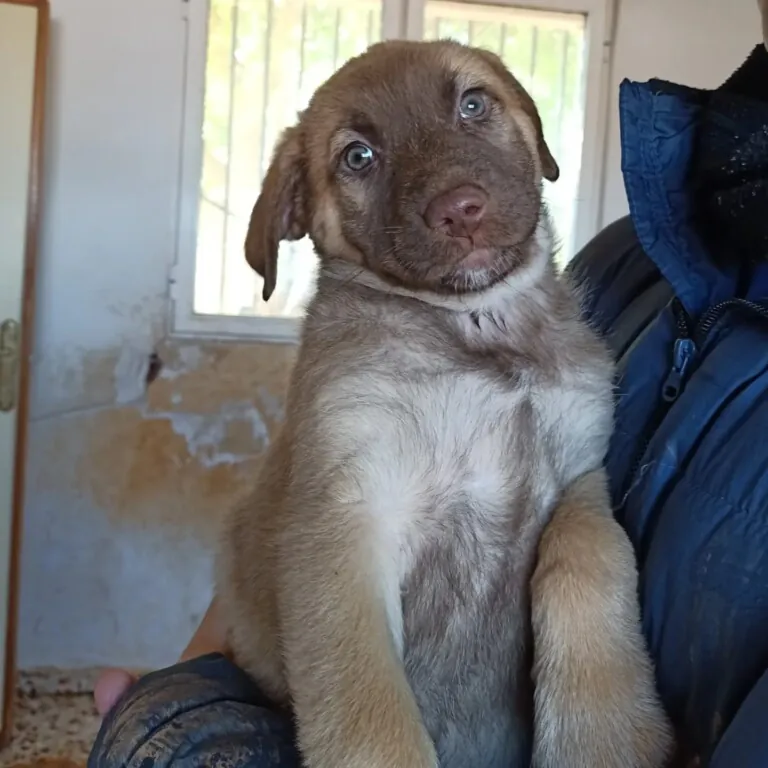 Huellas de vida4 768x768